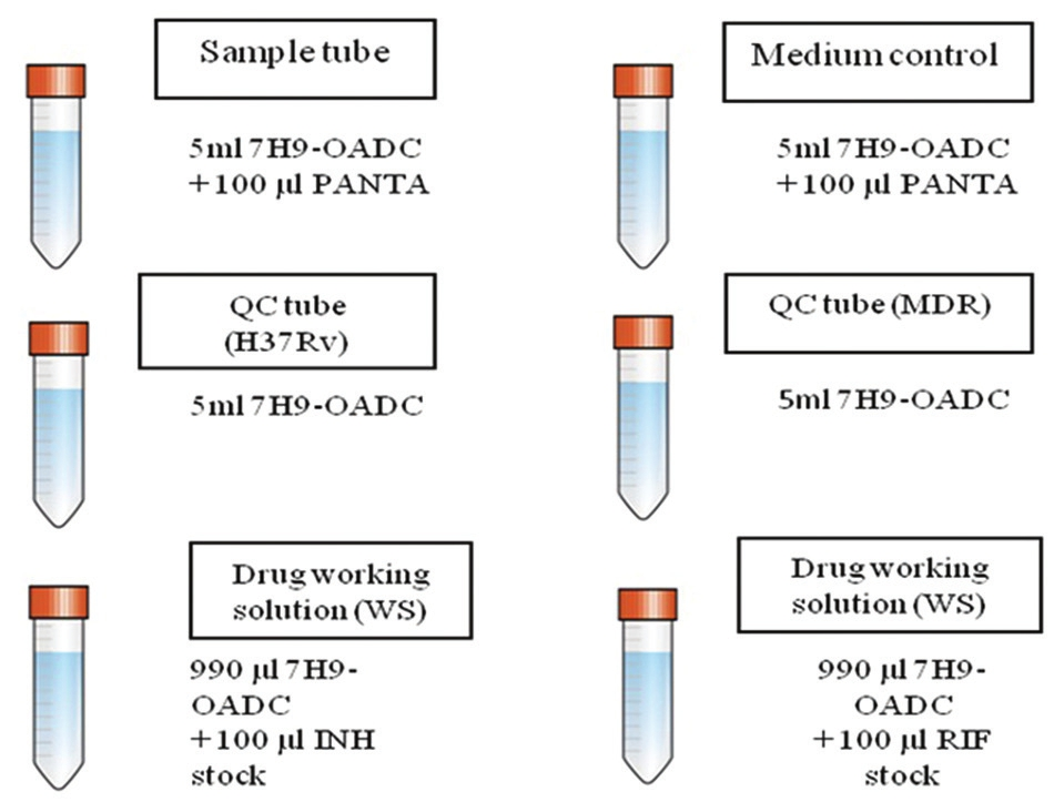 Preparation of medium tubes