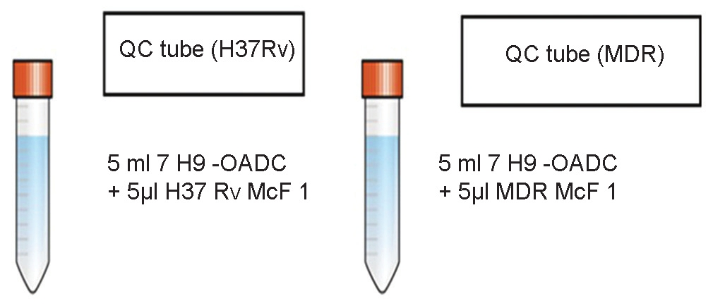 Preparation of inoculum tubes for direct microscopic observation drug susceptibility assay