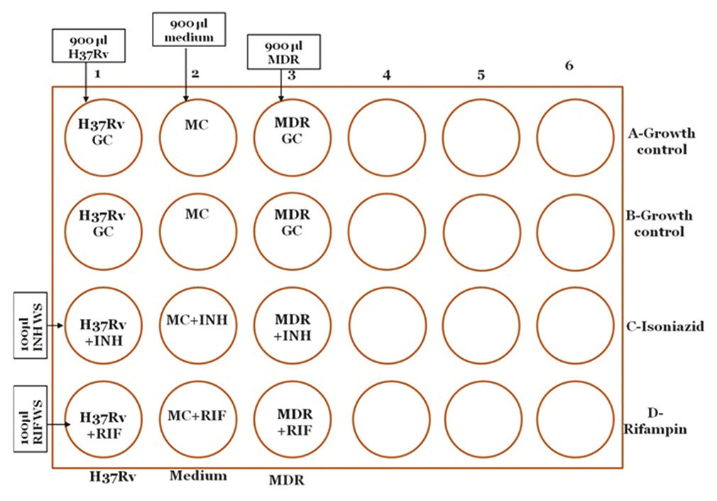 Setting up of microscopic observation drug susceptibility assay plate for quality control strains