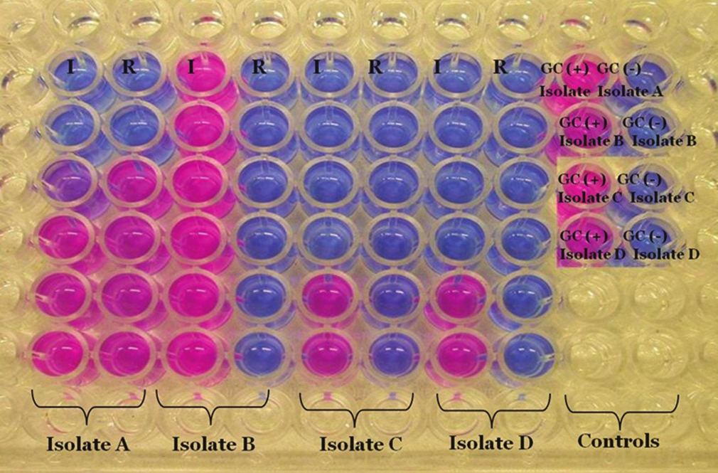 Demonstration of colorimetric redox indicator assay plate, refer to Table 3 for result interpretation