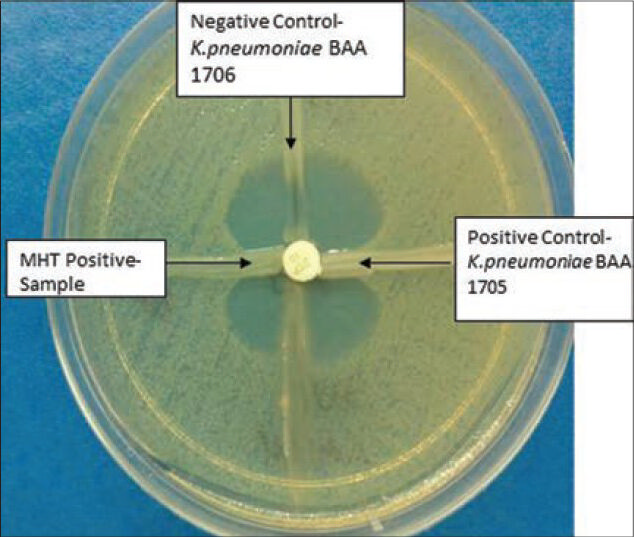 Modified Hodge test