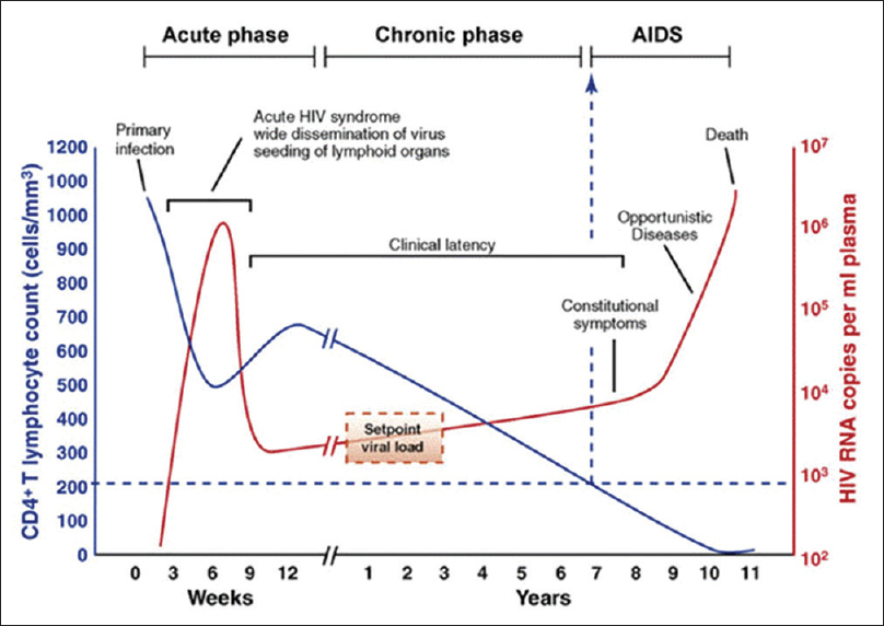 Natural course of human immunodeficiency virus infection and associated disease progression[10]