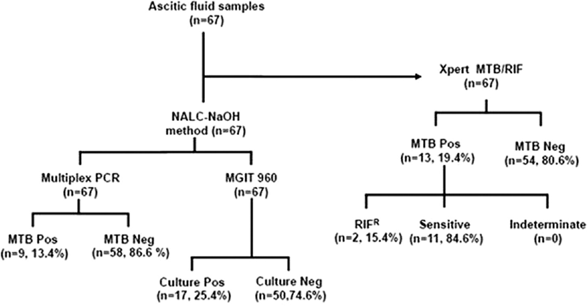 Algorithm of the study with summary results of Xpert MTB/RIF, MGIT-960 and the mPCR