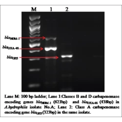 Article figure