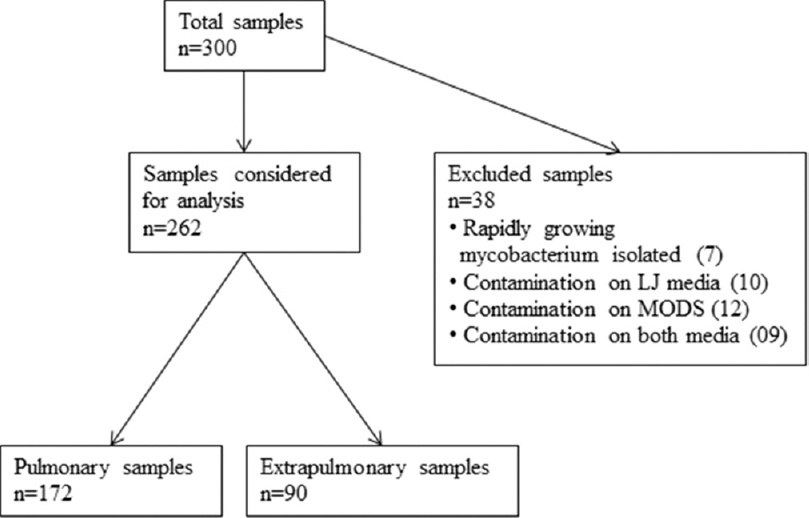 Chart for workflow of specimens in the study