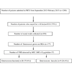 Article figure