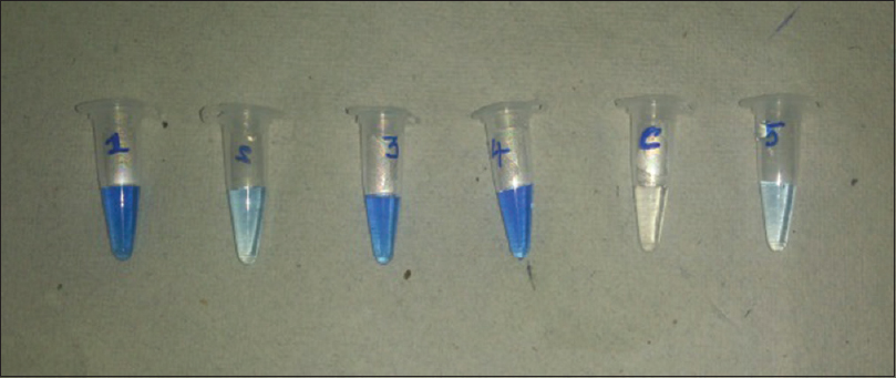 End-point of loop-mediated isothermal amplification assay using hydroxy naphthol blue. Tubes 1, 3 and 4 show deepening of blue color indicating positive reaction and Tubes 2 (negative sample) and 6 (negative control) with light blue color indicate negative reaction. Tube 5 contains water to show the colour difference
