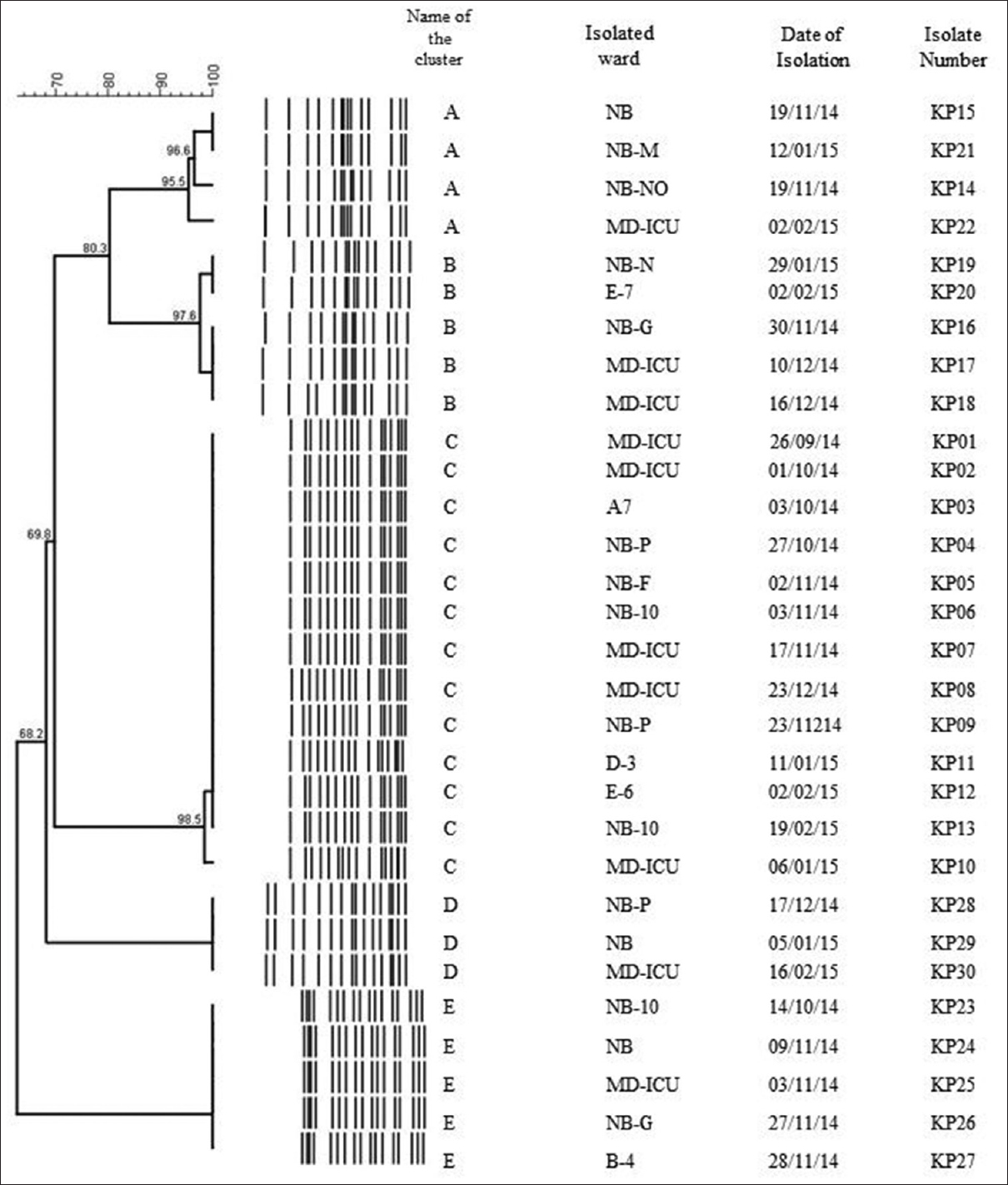 Dendrogram analysis. Dendrogram generated with the BioNumerics software, demonstrating the relatedness of fingerprints of thirty selected strains of Klebsiella pneumoniae. The phylogenetic tree was constructed using the Dice coefficient and unweighted pair group method with arithmetic mean clustering. A genetic similarity index scale is shown in the left of the dendrogram. Pulsed-field gel electrophoresis types, isolated ward, date of isolation, and strain numbers are included along each pulsed-field gel electrophoresis lane