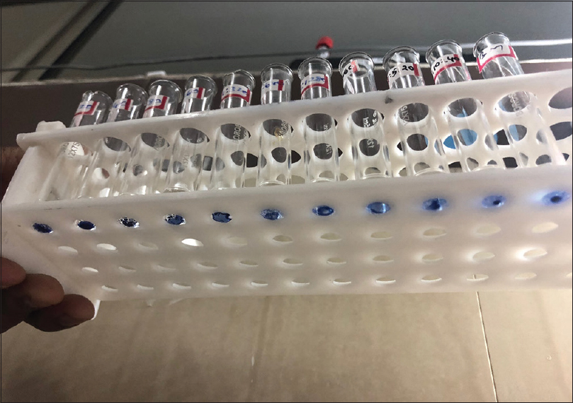 Standard agglutination test for brucellosis