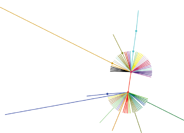 Phylogenetic tree inferred from variable region of spike protein showing different clades by different colors circulating worldwide. Two Major clades A and B are formed due to the most prevalent mutations D614G. Other small subclades shown in different colors are due to different mutations amongst them. MT358745 and MT372482 are shown with different branch length due to antigenic drift of six amino acids (ALDPLS292VMIHFW) and four amino acid (ALDP292SVES), respectively.