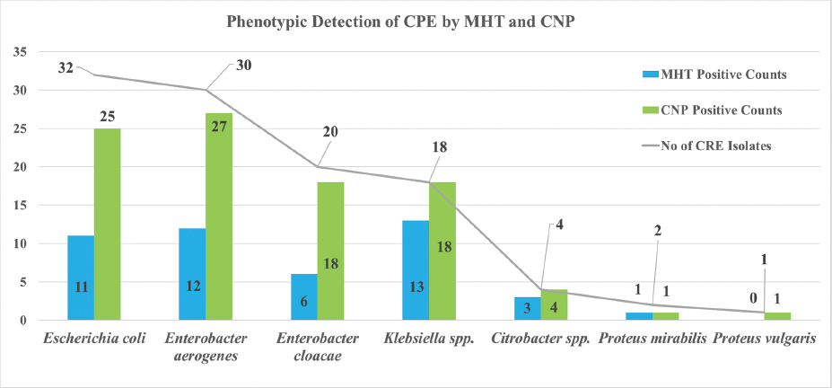 Phenotypic detection of CPE by MHT and Modified strip CNP test. CNP, Carba NP; CPE, carbapenemase producing Enterobacteriaceae.