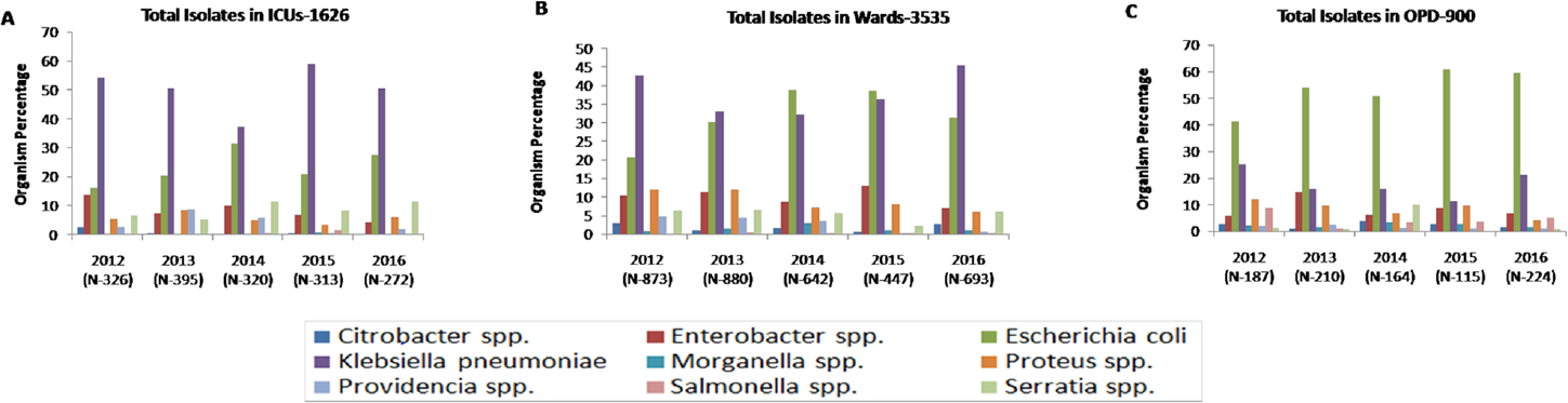 Yearly distribution of Enterobacteriaceae isolates in (A) ICUs, (B) wards, and (C) OPDs. ICU, intensive care unit; OPD, outpatient department.