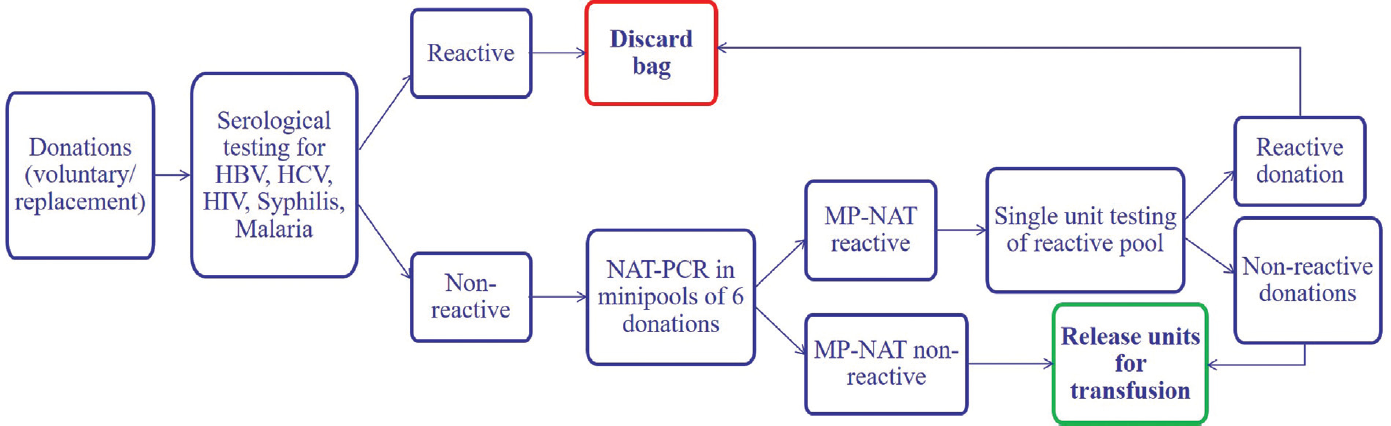 Screening algorithm for donated blood.