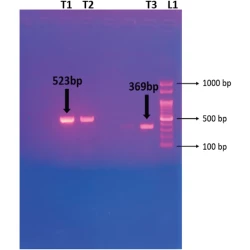 Article figure