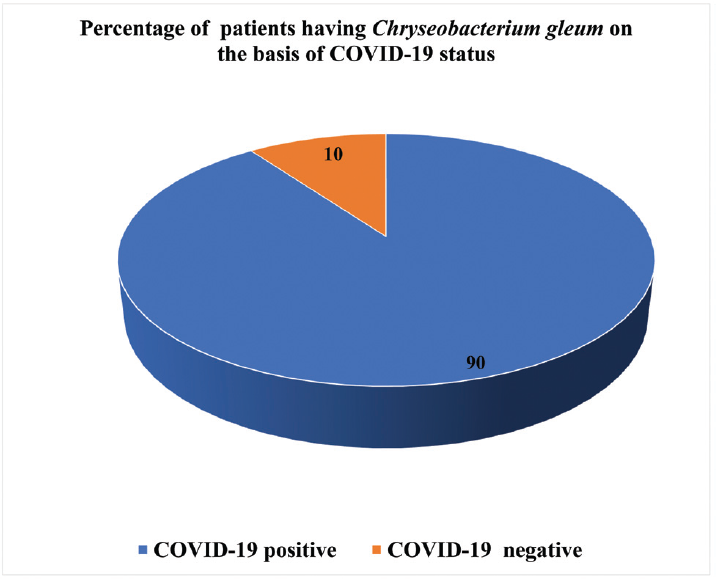 Percentage of total number of patients having Chryseobacterium gleum pneumonia based on coronavirus disease 2019 status during the study period.