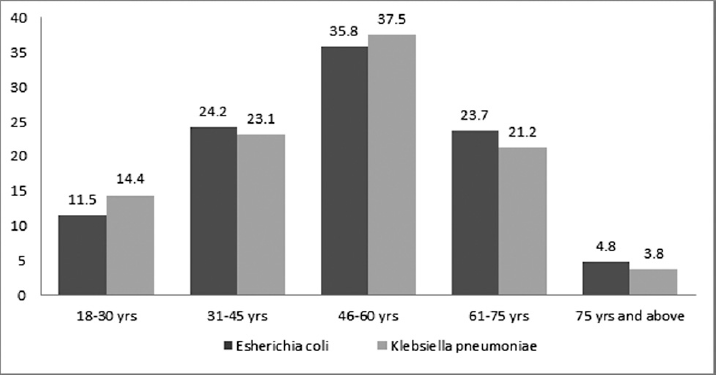 Age-wise frequency distribution of ESBL producing isolates. ESBL, extended-spectrum β lactamase.
