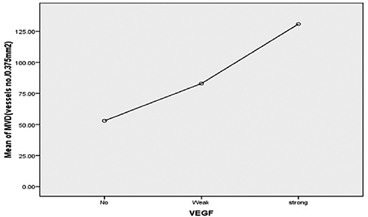 Correlation between VEGF and mean MVD in NHL (Pearson's correlation coefficient = 0.562, p = 0). MVD, microvessel density; NHL, non-Hodgkin's lymphoma; VEGF, vascular endothelial growth factor.