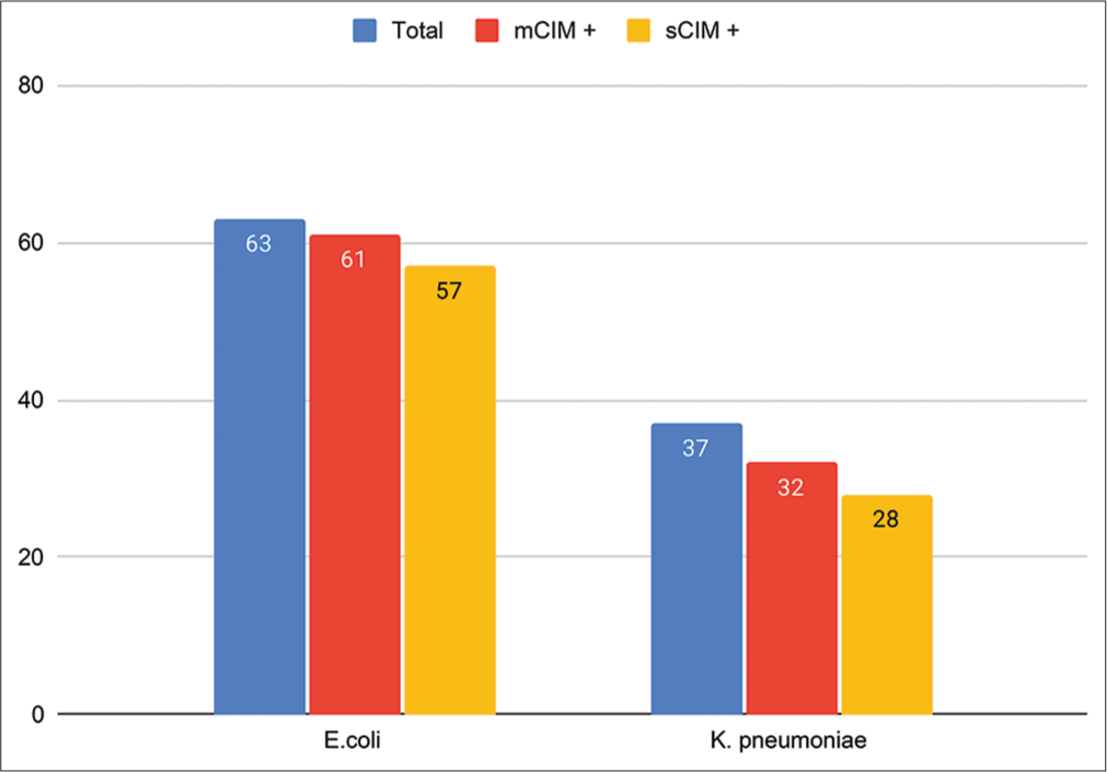 Bar diagram showing comparison of modified carbapenem inactivation method and simplified carbapenem inactivation method results for the detection of carbapenemase-producing Enterobacterales (Escherichia coli and Klebsiella pneumoniae). sCIM: Simplified carbapenem inactivation method, mCIM: Modified carbapenem inactivation method