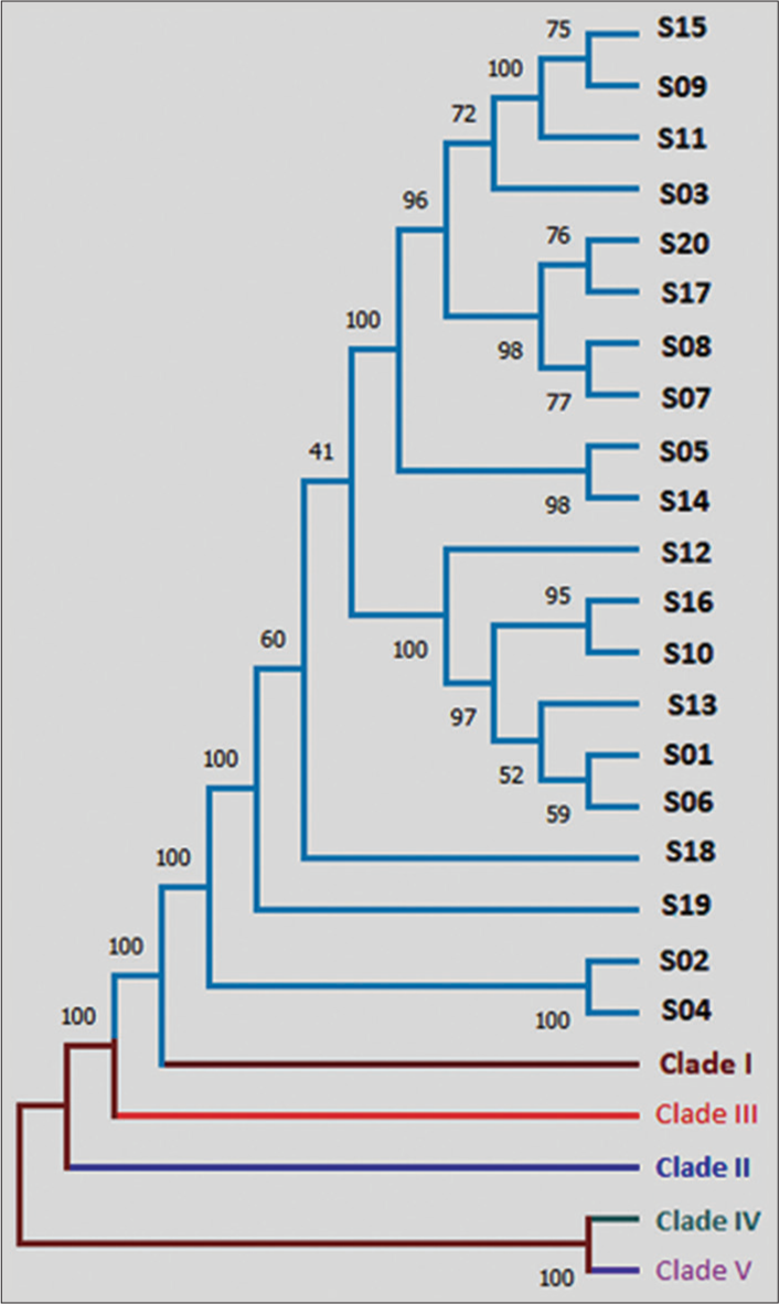 Phylogenetic analysis using MEGA v6.06 software. Phylogenetic analysis revealed close resemblance of all 20 isolates to Clade I.