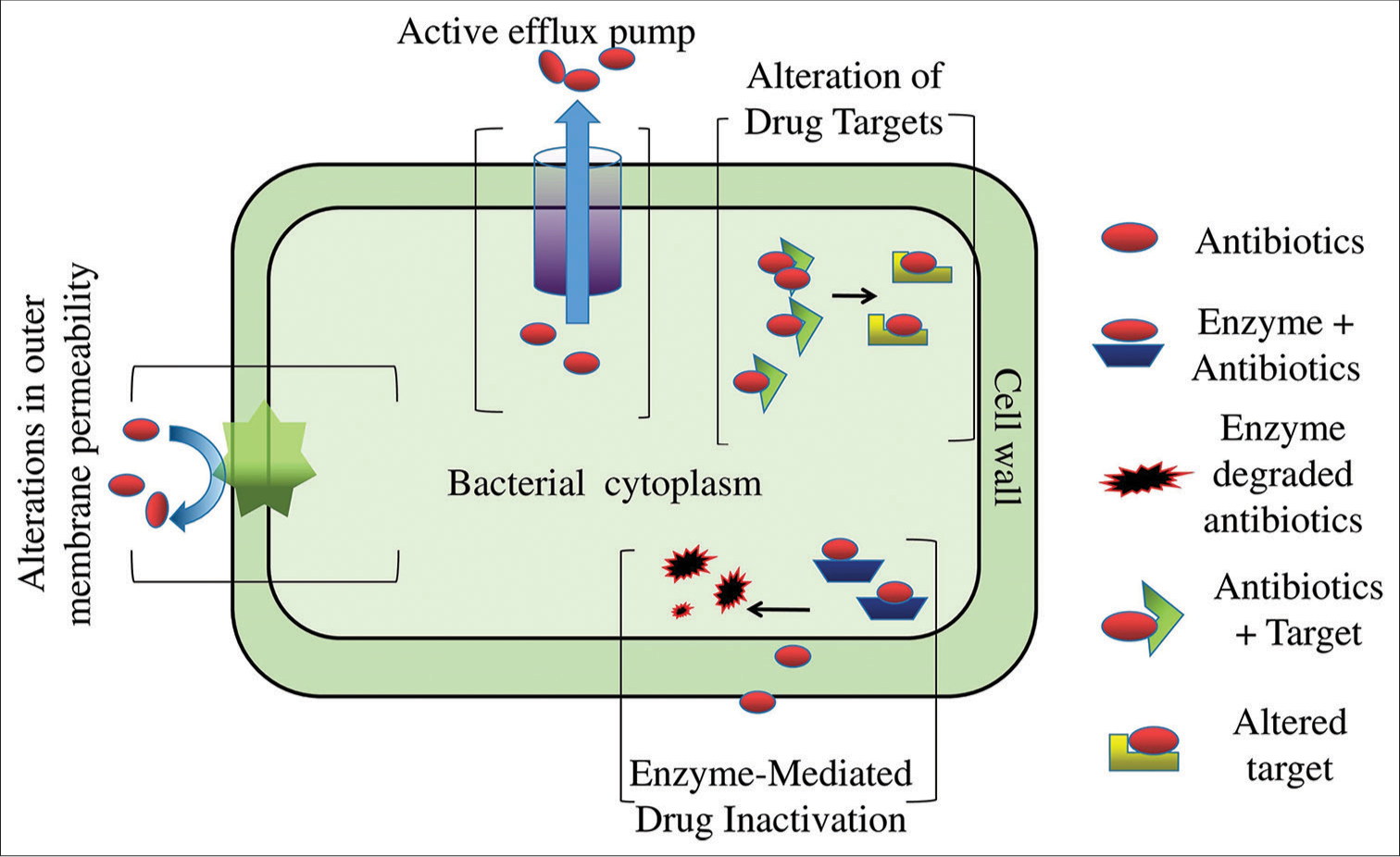 Illustration of resistance mechanisms exhibited by bacteria against antimicrobial agents.