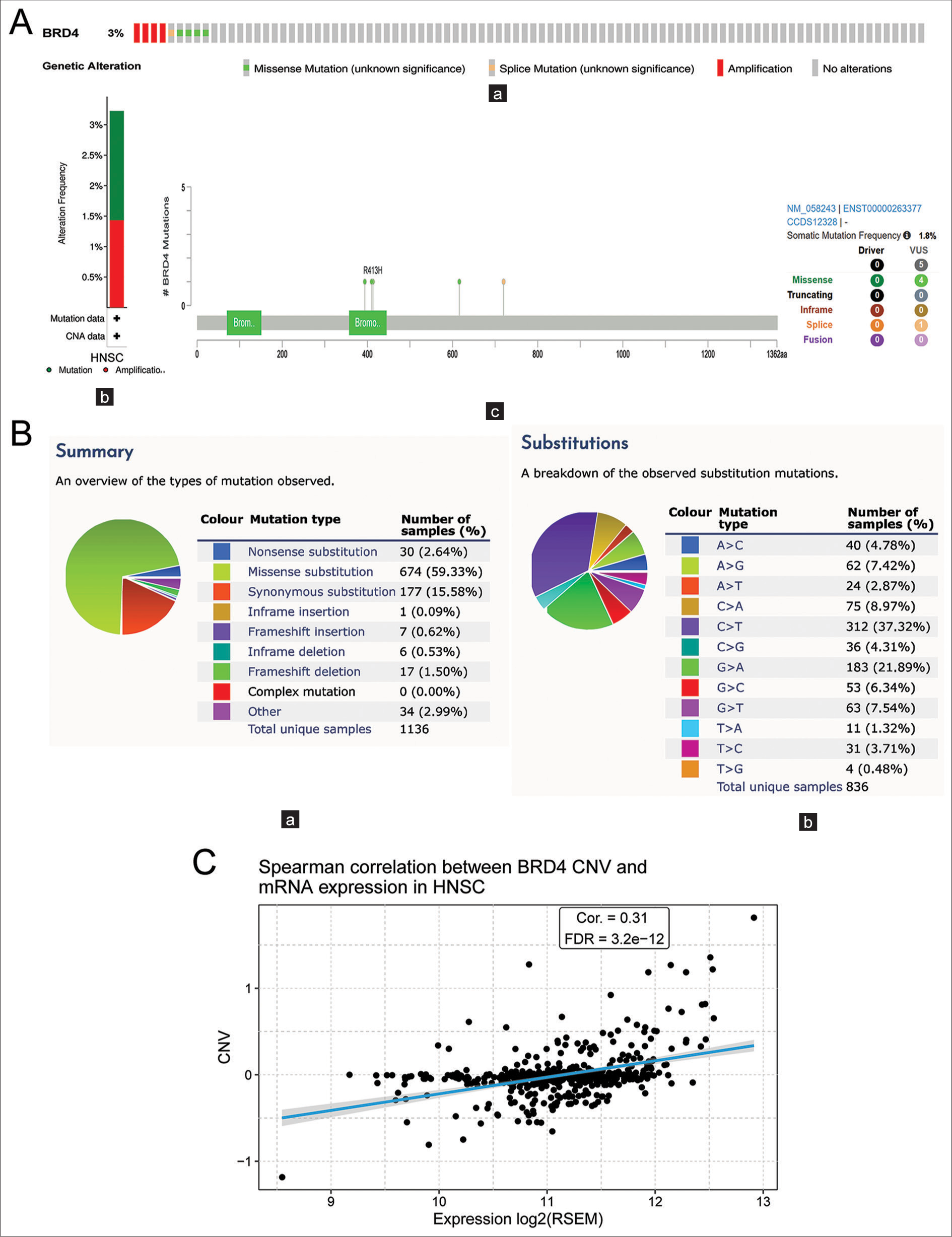 (A) Analysis of bromodomain-containing 4 (BRD4) genetic alterations and copy number variation (CNV) in head-and-neck cancer (HNC). (a) Total mutation of BRD4 in the HNC genome. (b) Type of BRD4 gene alteration frequency in HNC. (c) Mutation map of BRD4 in HNC across the structural domain of the protein. (B) (a and b) Types of BRD4 gene mutations and substitutions in HNC. (C) Correlation of BRD4 CNV and messenger RNA expression in HNC. BRD: Bromodomain-containing, VUS: Variant of uncertain significance, CAN: Copy number alteration, RSEM: RNA-Seq by expectation-maximization, FDR: False discovery rate, Cor: Correlation.