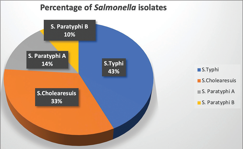 Distribution of Salmonella isolates of the study.