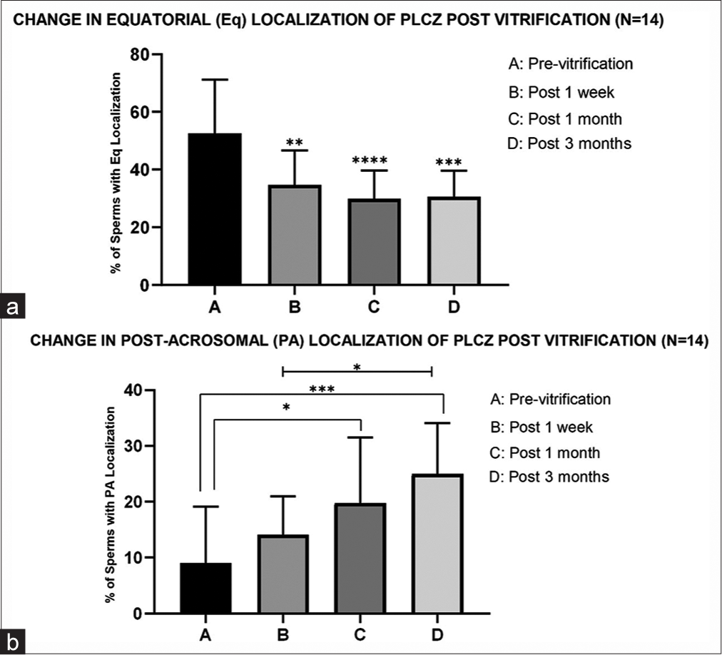 Effect of vitrification on phospholipase C zeta (PLC ζ) localization (n = 14). (a) The graph indicates a significant change (decrease) in PLC ζ equatorial localization post 1 week, 1 month, and 3 months of vitrification compared to the pre-vitrification status. *** indicates P < 0.001, **indicates P < 0.01. (b) In this graph“***” and “*” indicate a significant increase (P ≤ 0.001 and P ≤ 0.05) in PLC ζ post-acrosomal localization post 3 months of vitrification compared to the pre-vitrification and post-1-week status, respectively. “*” indicates a statistically significant increase in PLC ζ post-acrosomal localization post 1 month of vitrification compared to the pre-vitrification status (P ≤ 0.05).