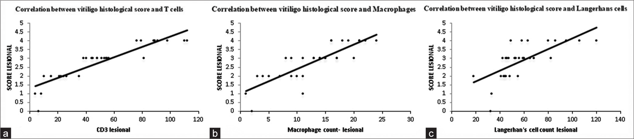 Correlation between vitiligo histological score and numbers of (a) T cells, (b) Macrophages, and (c) Langerhans cells. CD: Cluster of differentiation