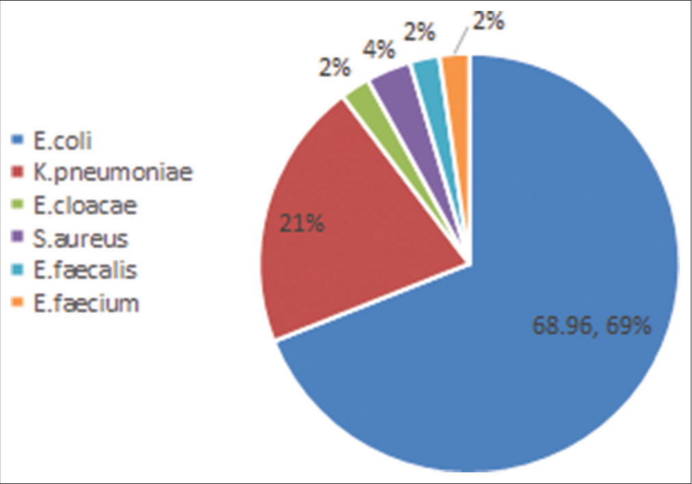 Distribution of organisms isolated from urosepsis patients.