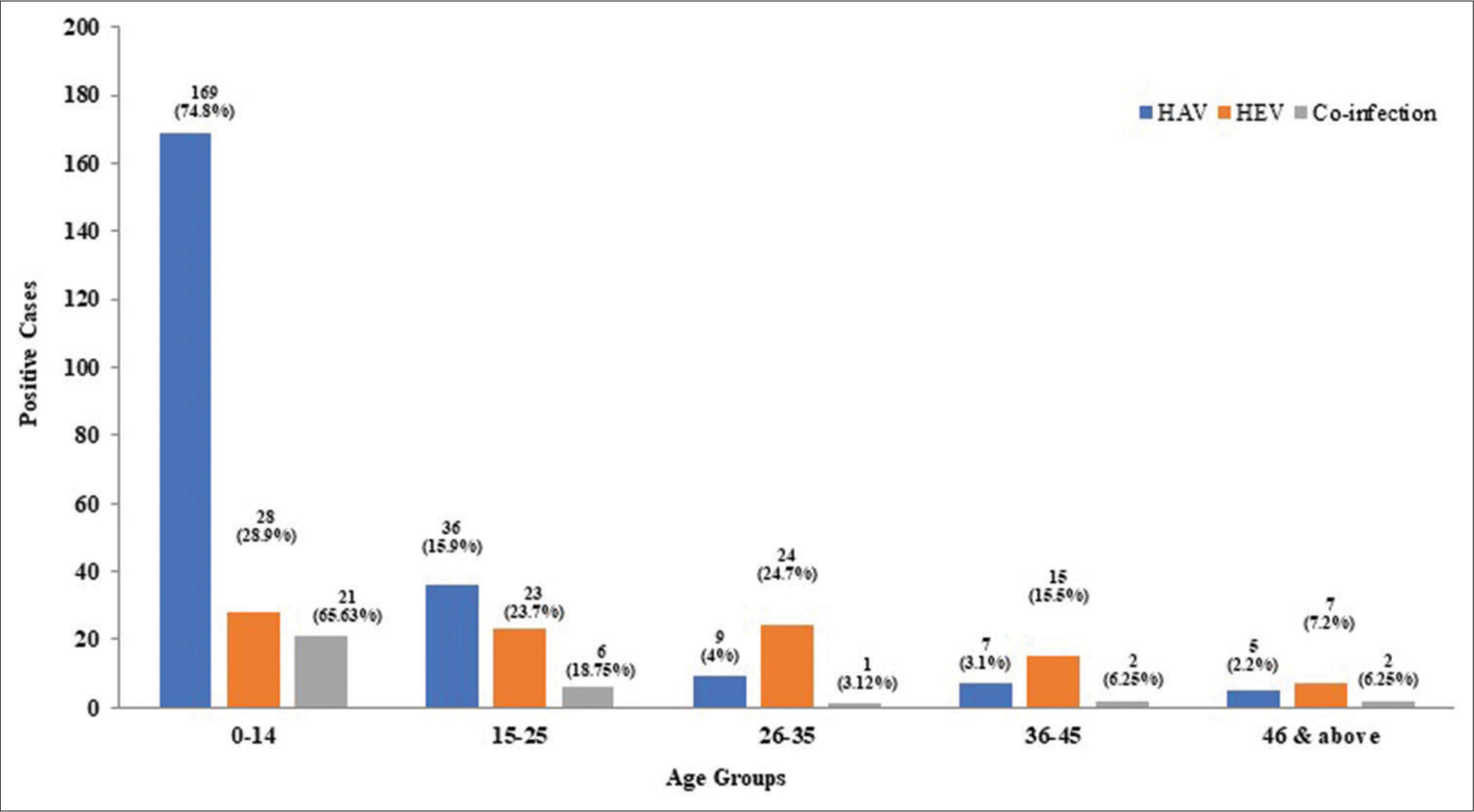 Age-specific seropositivity of hepatitis A virus (HAV), hepatitis E virus (HEV), and co-infection.