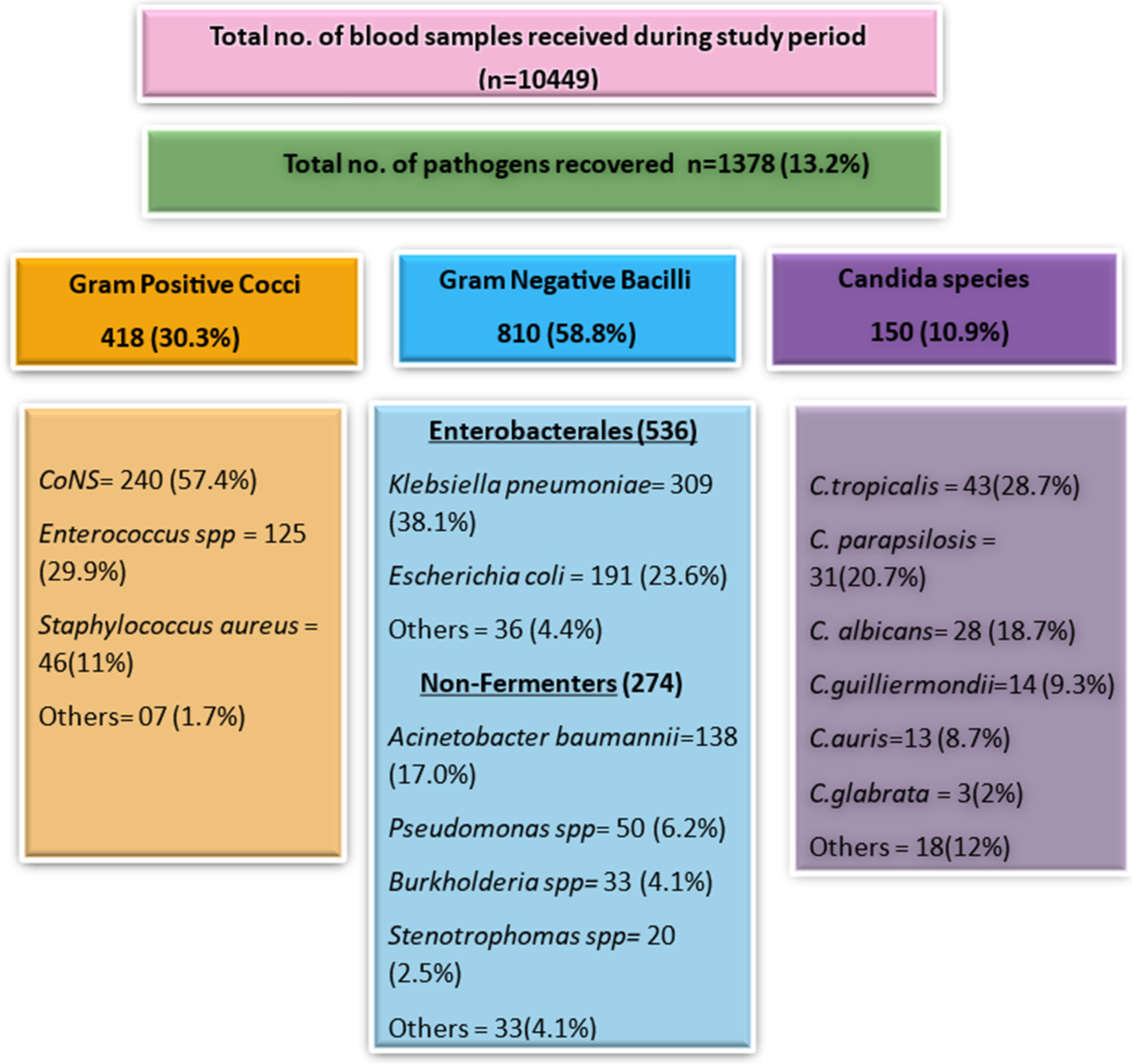 Spectrum of most common microorganisms isolated from blood culture during the study period.