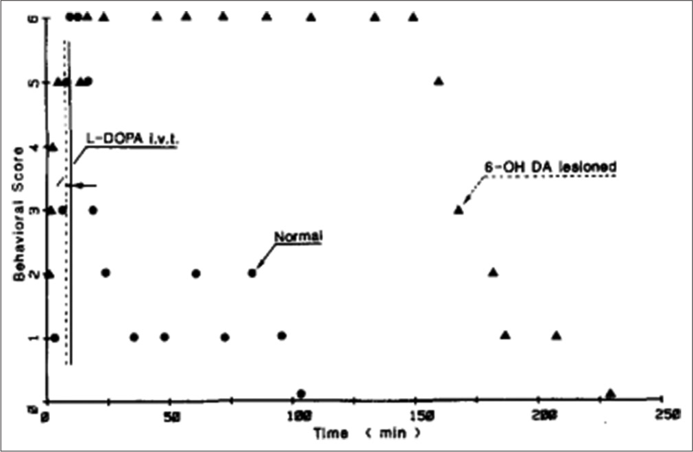 Longitudinal behavioural alterations in rats administered a 10 mg/mL intravenous dose of L-3, 4-dihydroxyphenylalanine and 6-hydroxydopamine -lesioned rats.