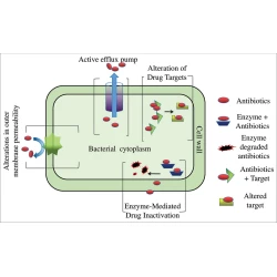 Article figure