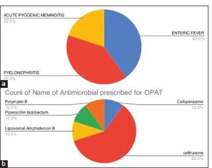 (a) Pie charts representing infections distribution and (b) antimicrobial distribution.